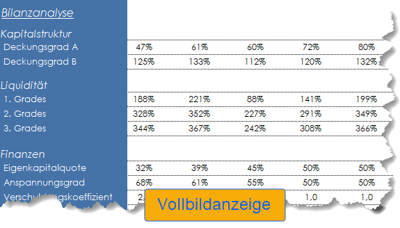 Analyse einer Planbilanz: Bilanzkennzahlen, Bilanzanalyse