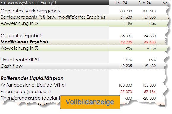 Muster: Frühwarnsystem mit rollierender Liquidität