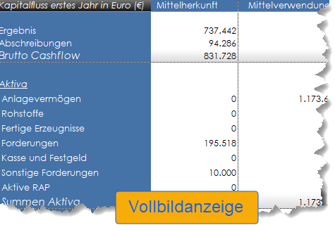 Beispiel einer Kaptialflussrechnung