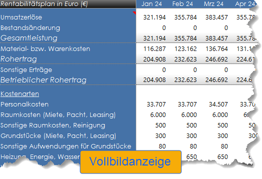 Rentabilitätsplan